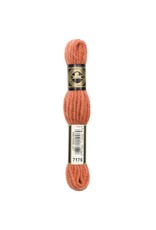 DMC DMC laine colbert Tapestry wool 7176