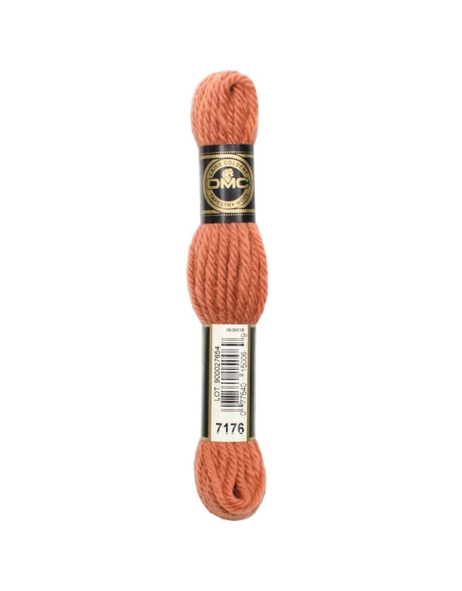 DMC DMC laine colbert Tapestry wool 7176