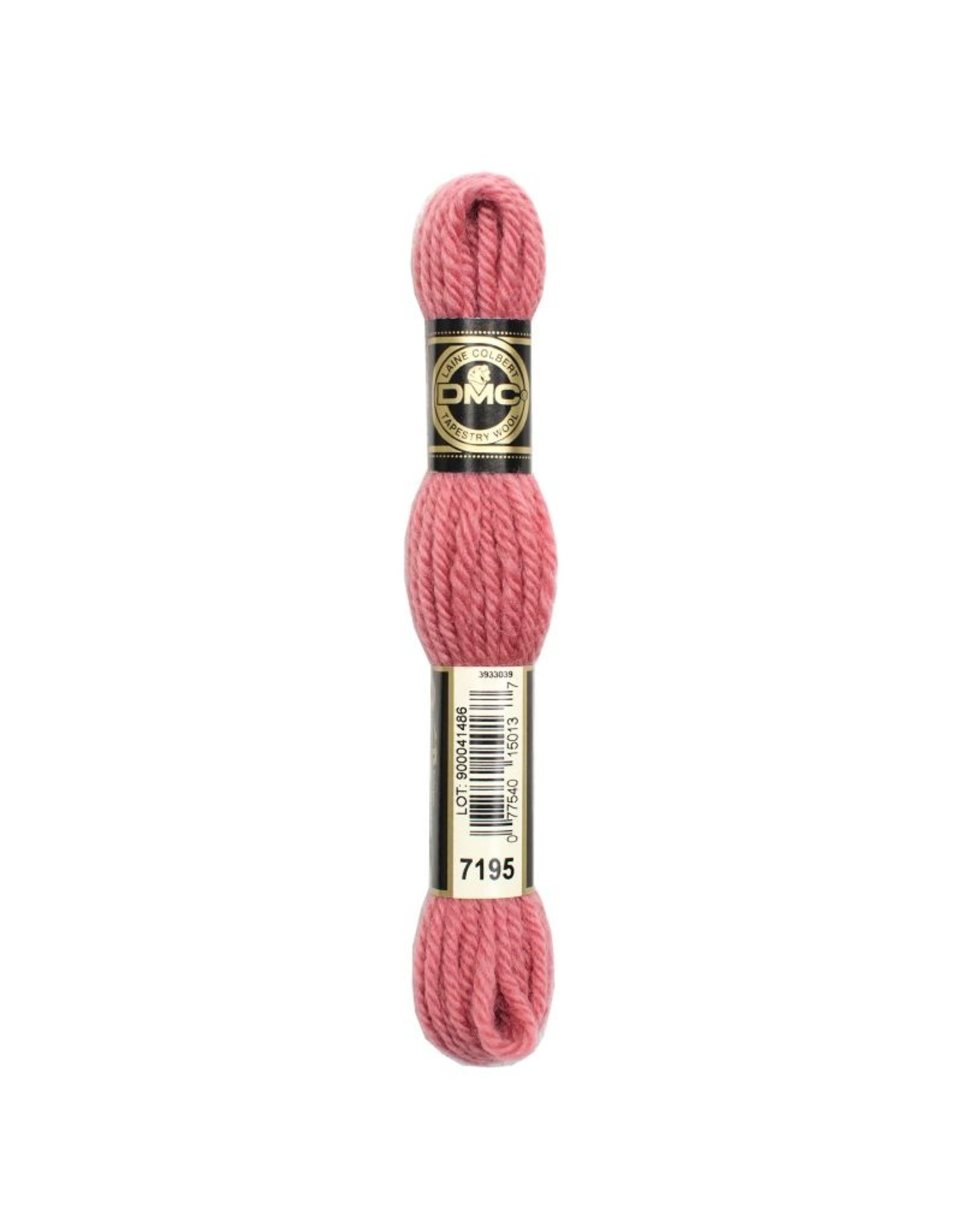 DMC DMC laine colbert Tapestry wool 7195