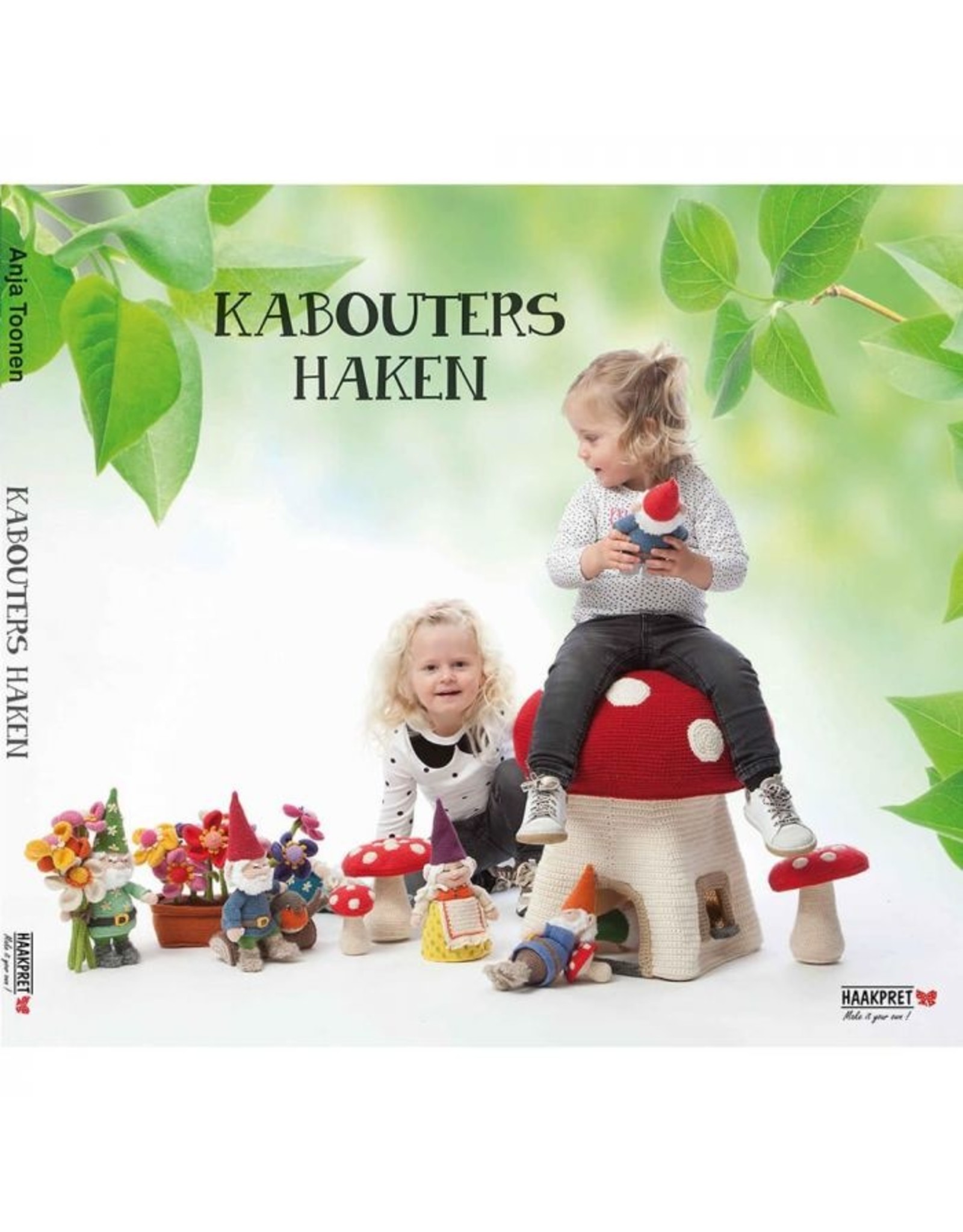 Boek haken: Kabouters haken