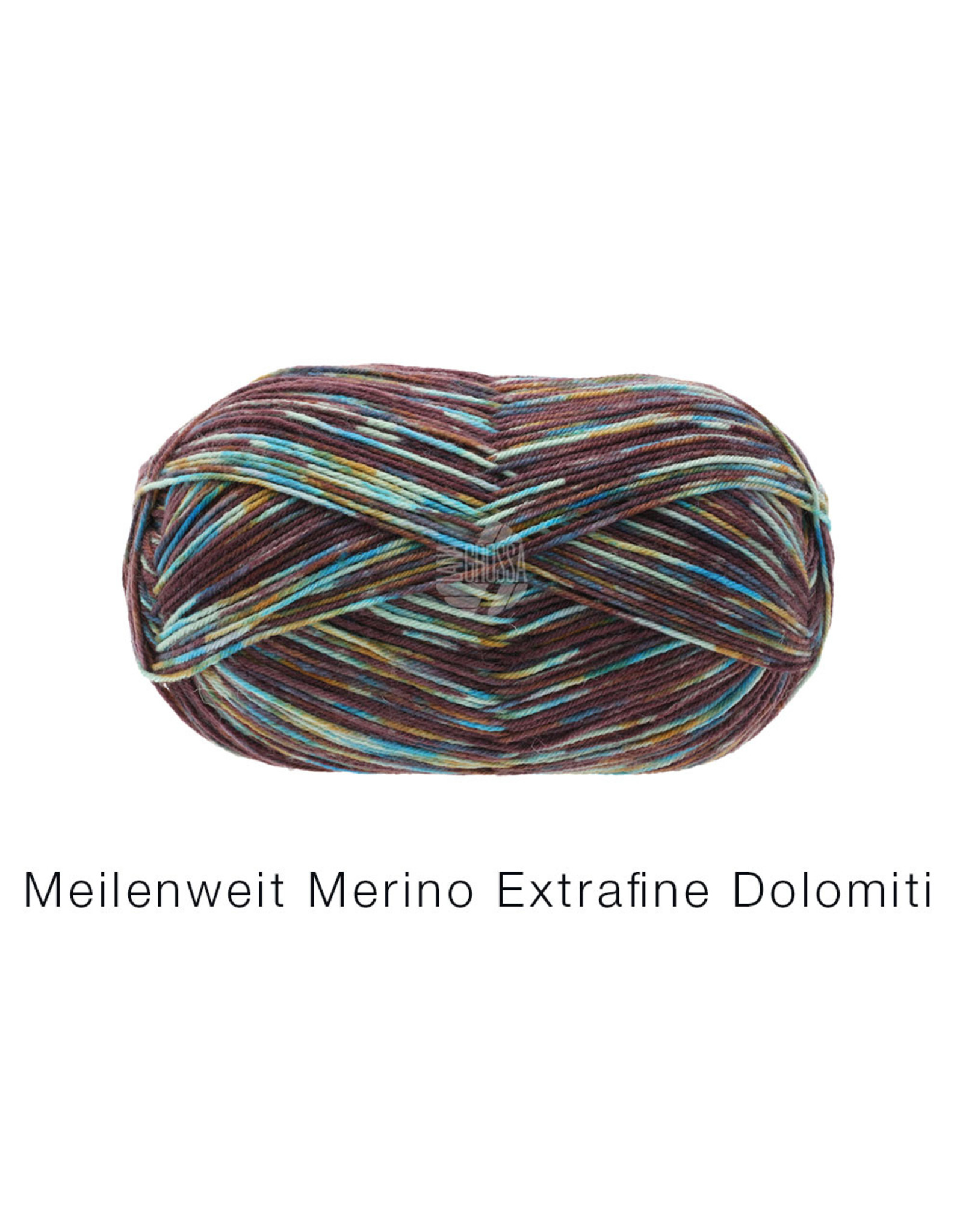 Lana Grossa Lana Grossa Meilenweit Merino extrafine dolomiti 2575