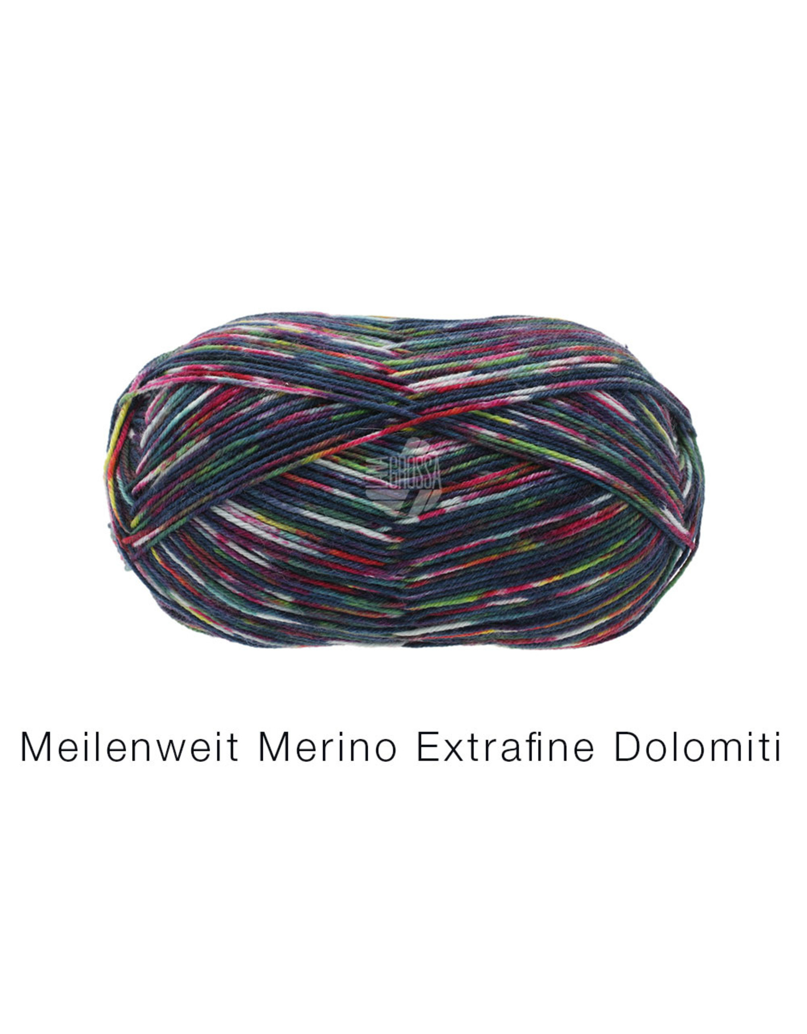 Lana Grossa Lana Grossa Meilenweit Merino extrafine dolomiti 2572