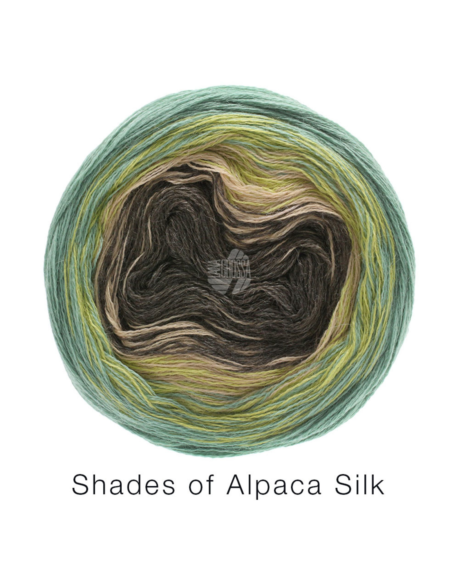 Lana Grossa Lana Grossa Shades of alpaca silk 305