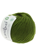 Lana Grossa Lana Grossa Landlust Merino 120 col.117