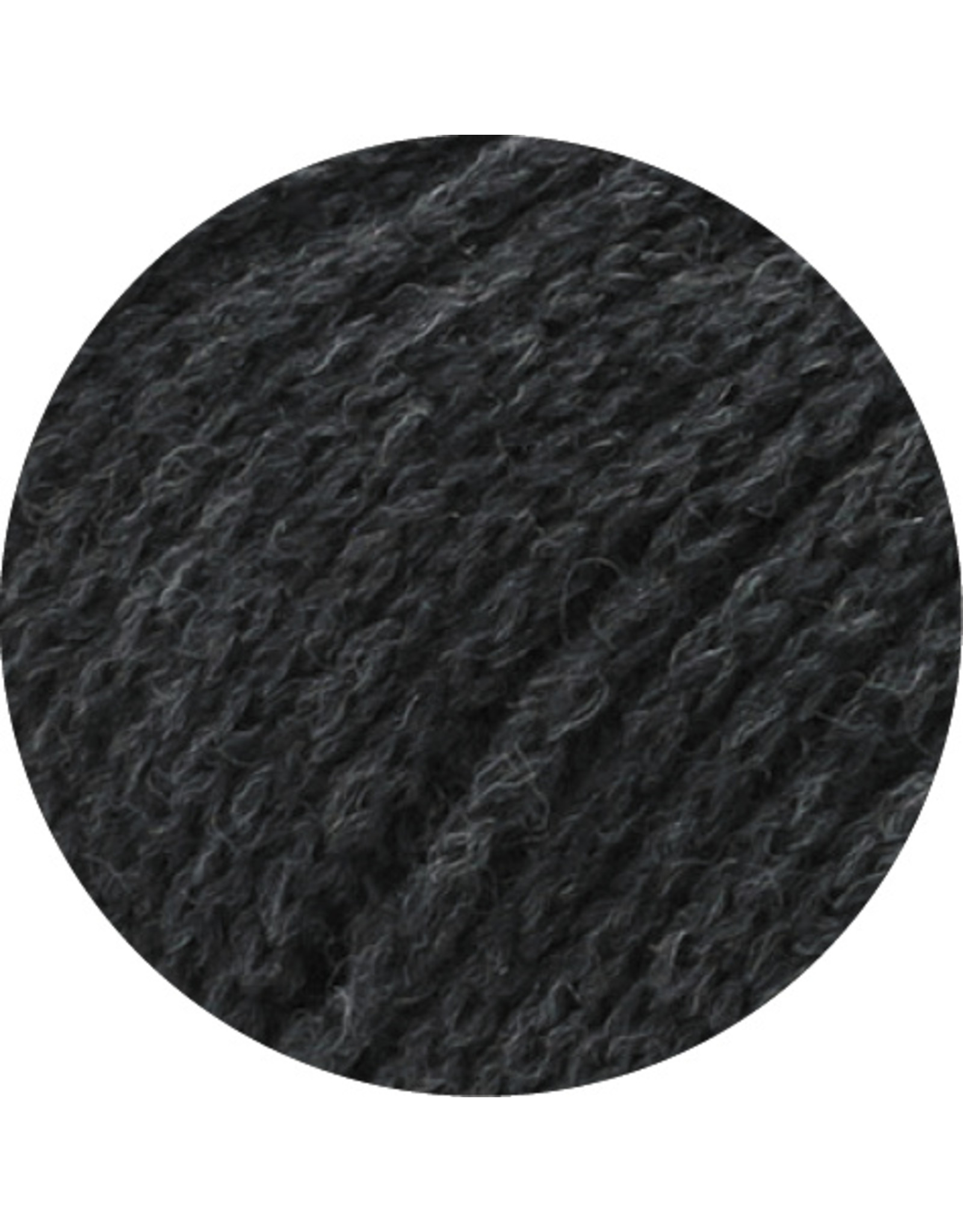 Lana Grossa Lana Grossa Landlust Merino 120 col.120