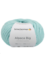 Schachenmayr Schachenmayr Alpaca big 65