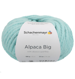 Schachenmayr Schachenmayr Alpaca big 65