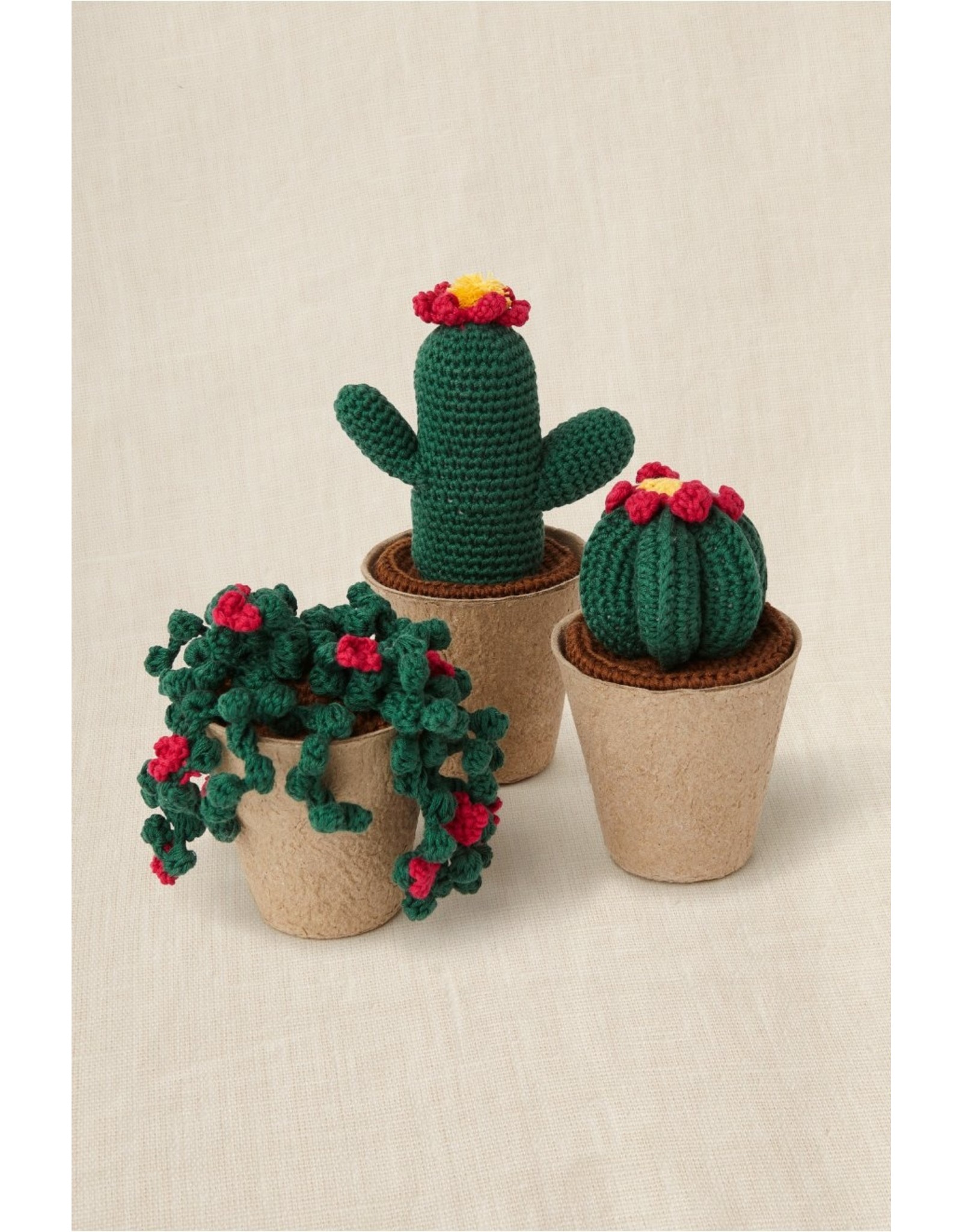 DMC DMC Gift of stitch Crochet Cactus kit