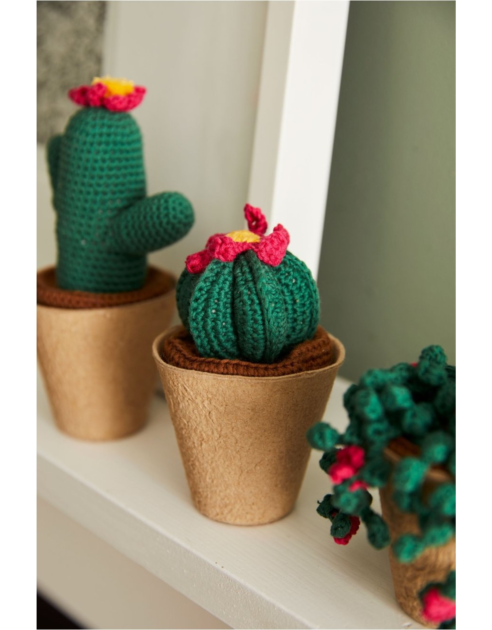 DMC Gift of stitch Crochet Cactus kit Guy's Naaicentrum