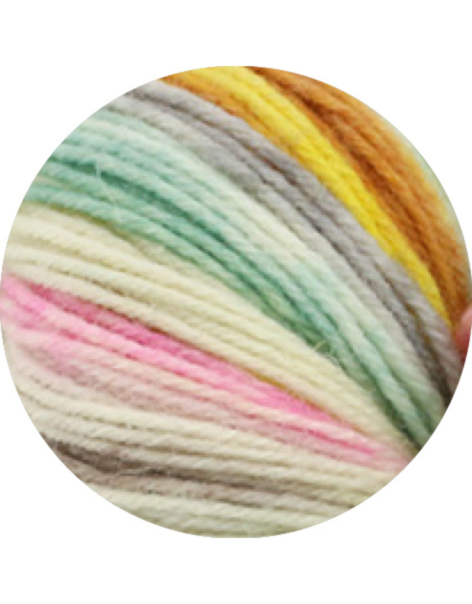Lana Grossa Lana Grossa Meilenweit Merino Rainbow Hand-dyed 7007