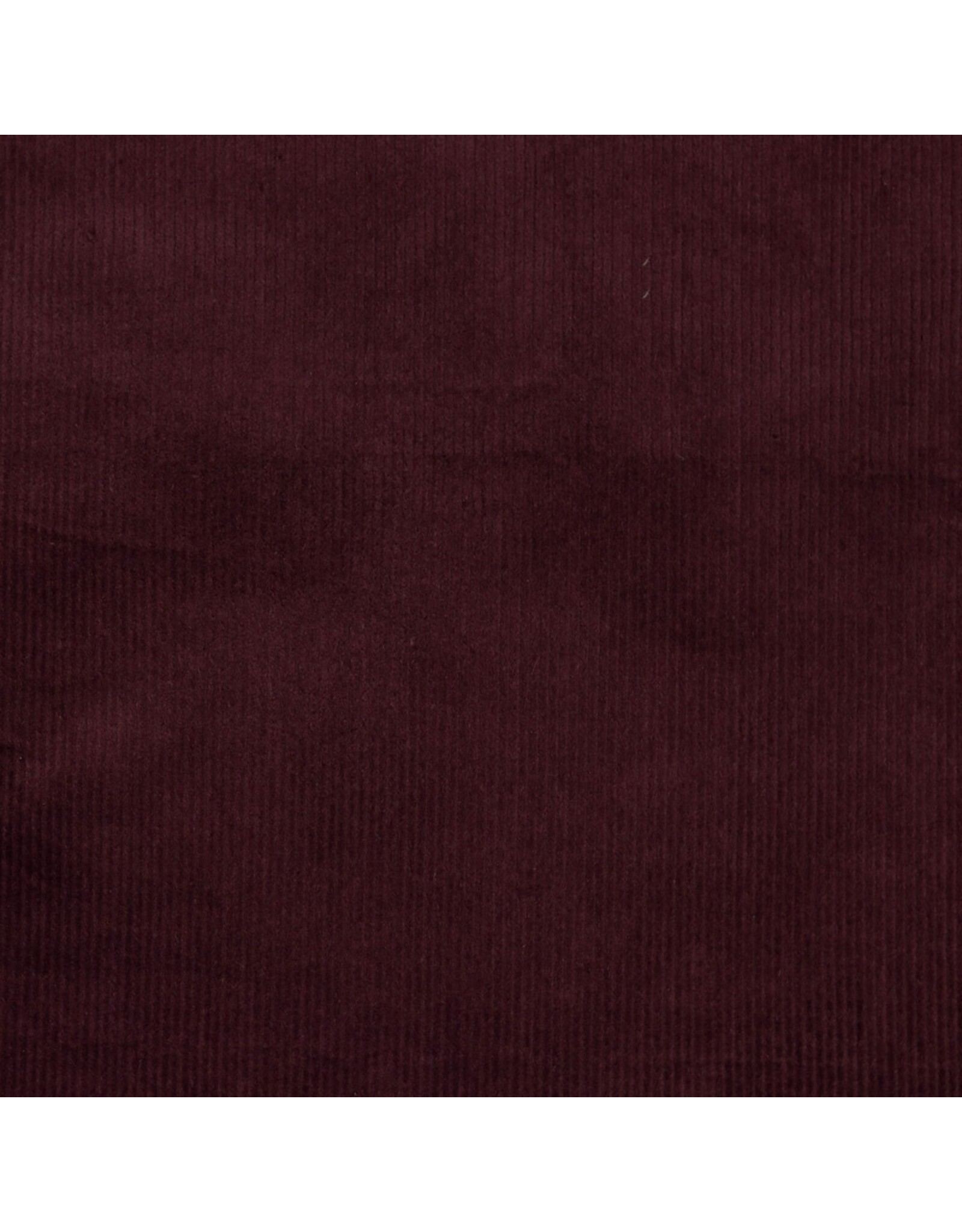 Washed cord 8W Stretch ribfluweel aubergine