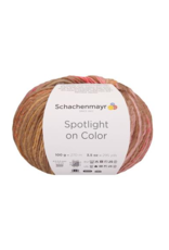 Schachenmayr Schachenmayr Spotlight on Color 81