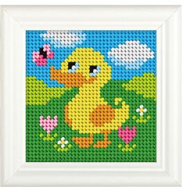 Orchidea Orchidea eend 11x11cm