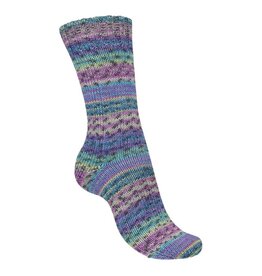 Schachenmayr Regia 4-fädig color 100gr 04075