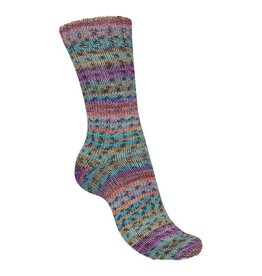 Schachenmayr Regia 4-fädig color 100gr 04073