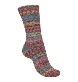 Schachenmayr Regia 4-fädig color 100gr 04072