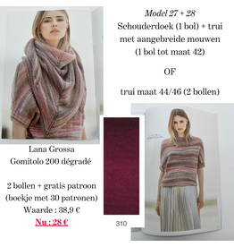 Pakket 2 bollen Lana Grossa Gomitolo 200 dégradé col. 310