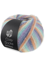 Lana Grossa Lana Grossa Cosy Socks Multi Stripes 0153
