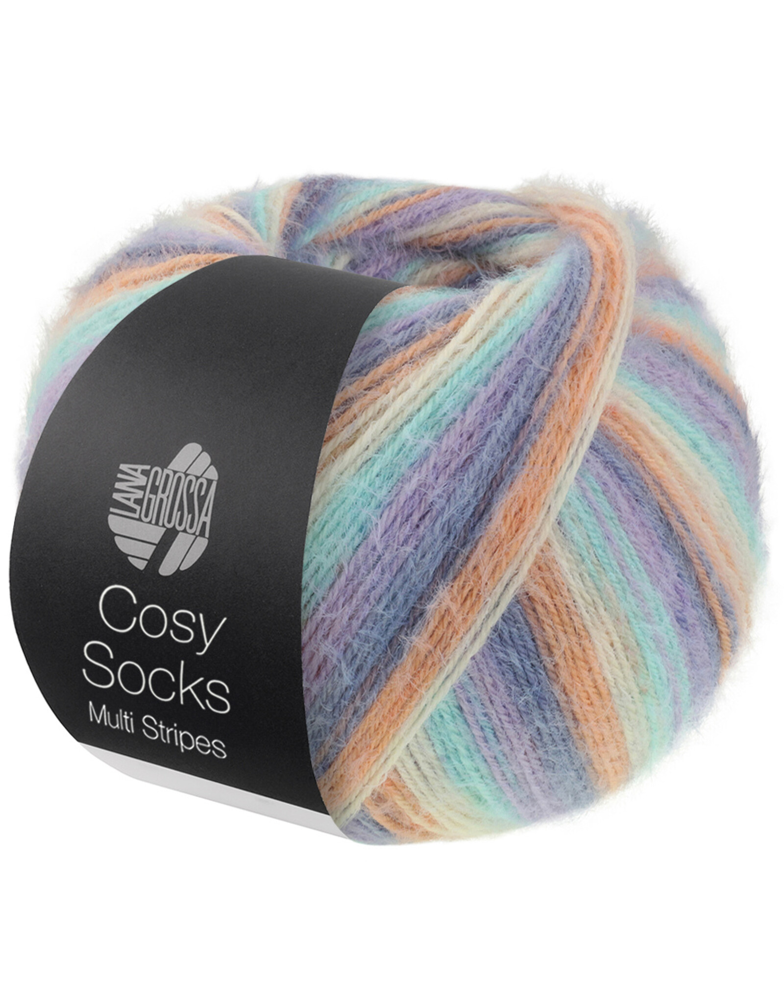 Lana Grossa Lana Grossa Cosy Socks Multi Stripes 0153