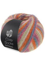 Lana Grossa Lana Grossa Cosy Socks Multi Stripes 0154