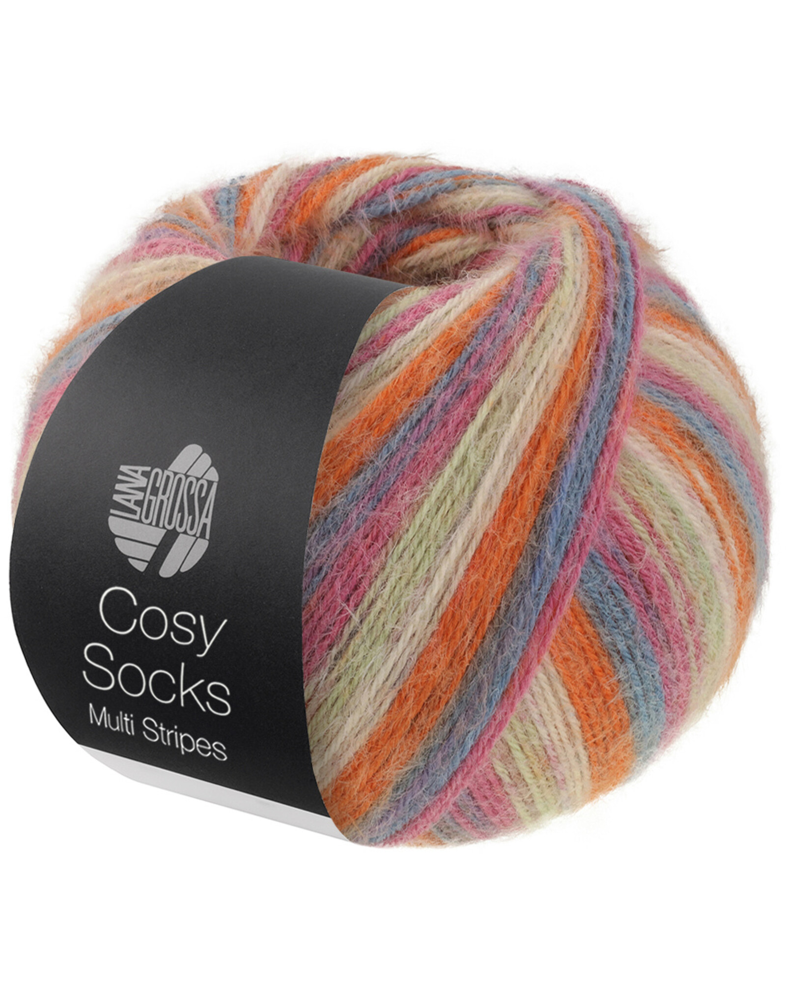 Lana Grossa Lana Grossa Cosy Socks Multi Stripes 0154