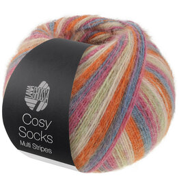 Lana Grossa Lana Grossa Cosy Socks Multi Stripes 0154