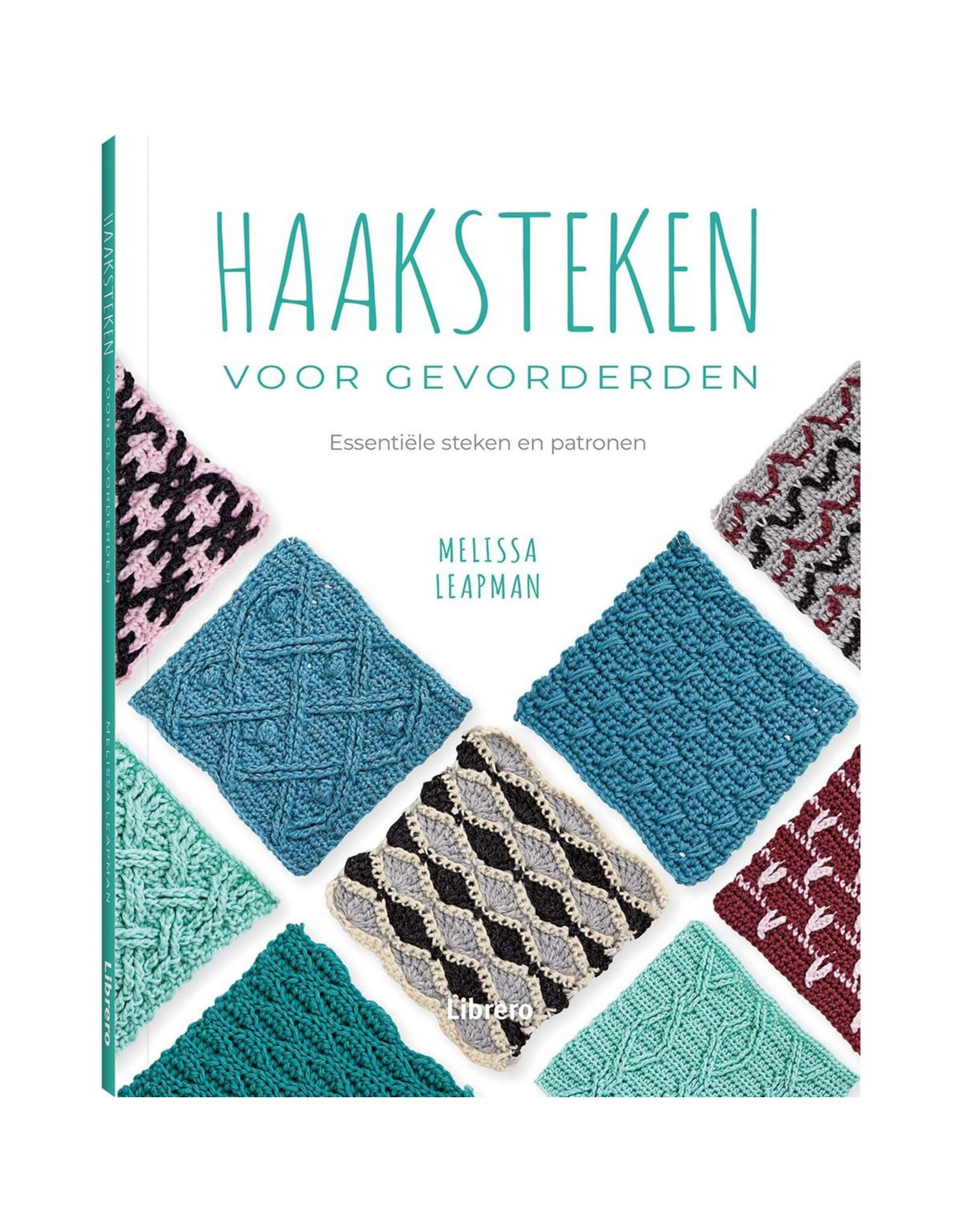 Haaksteken voor gevorderden - Melissa Leapman