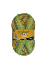 Opal Opal 30 Jahre - 4 draad - 11745