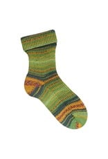 Opal Opal 30 Jahre - 4 draad - 11745