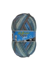 Opal Opal 30 Jahre - 4 draad - 11741