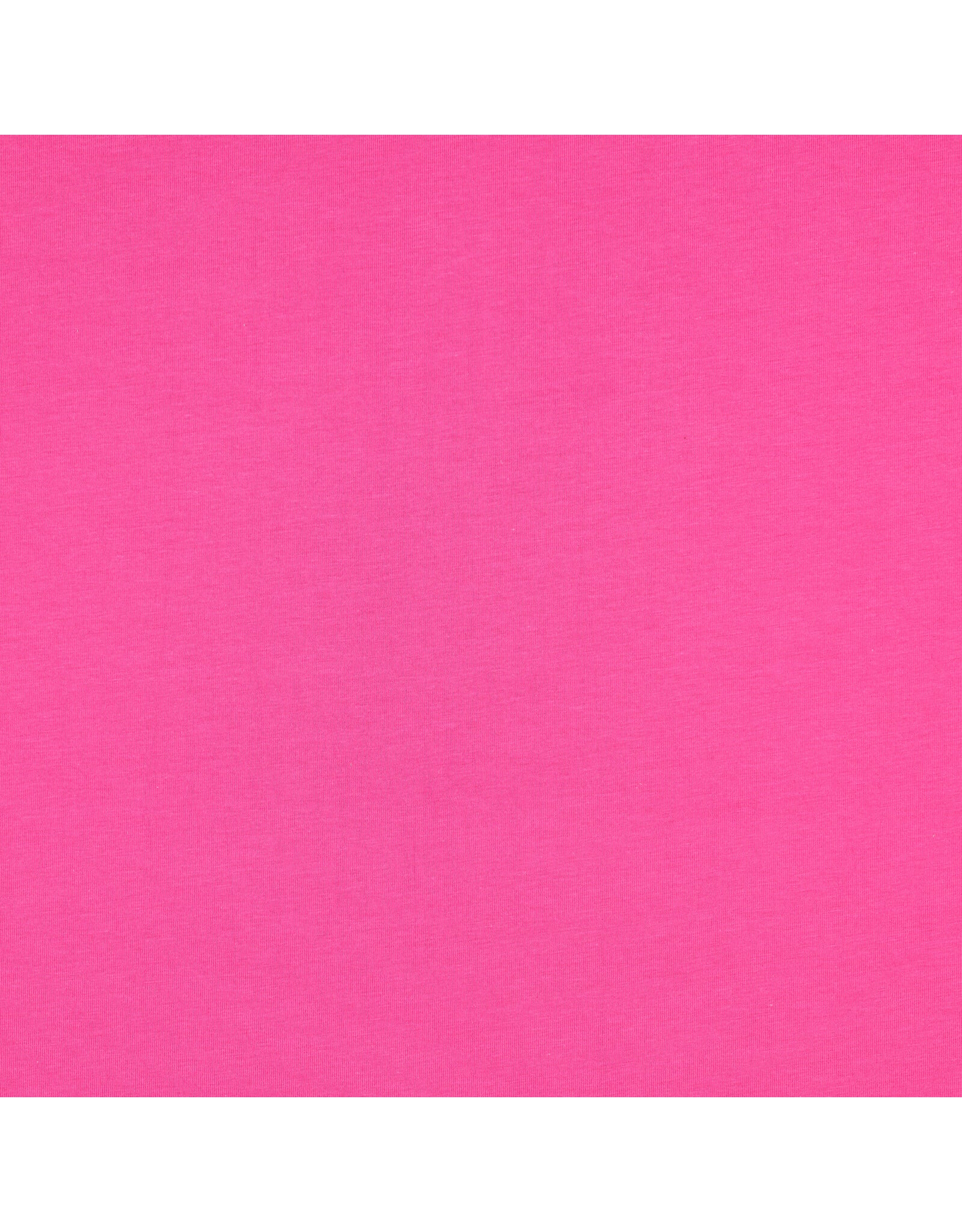 Jersey fuchsia