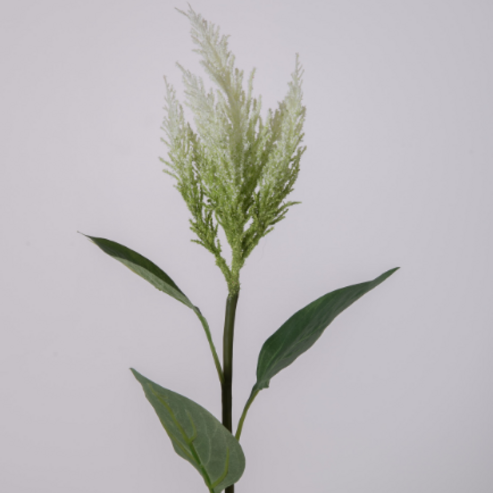 -- C&G - Spirea Spray  wit 150769WH