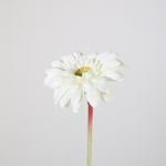-- C&G - Single Mini Gerbera wit 47 cm150598CR