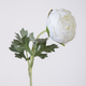 -- C&G - Ranunculus Flocked stem 35 cm wit 150718CR