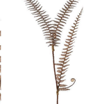 PTMD COLLECTION HOME PTMD - Fern plant red boston fern leaf spray