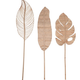 MUST LIVING MUST LIVING - Peach leaf ratan 60x3x185cm