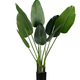 WOOOD EXCLUSIVE WOOOD - Strelitzia kunstplant 108cm