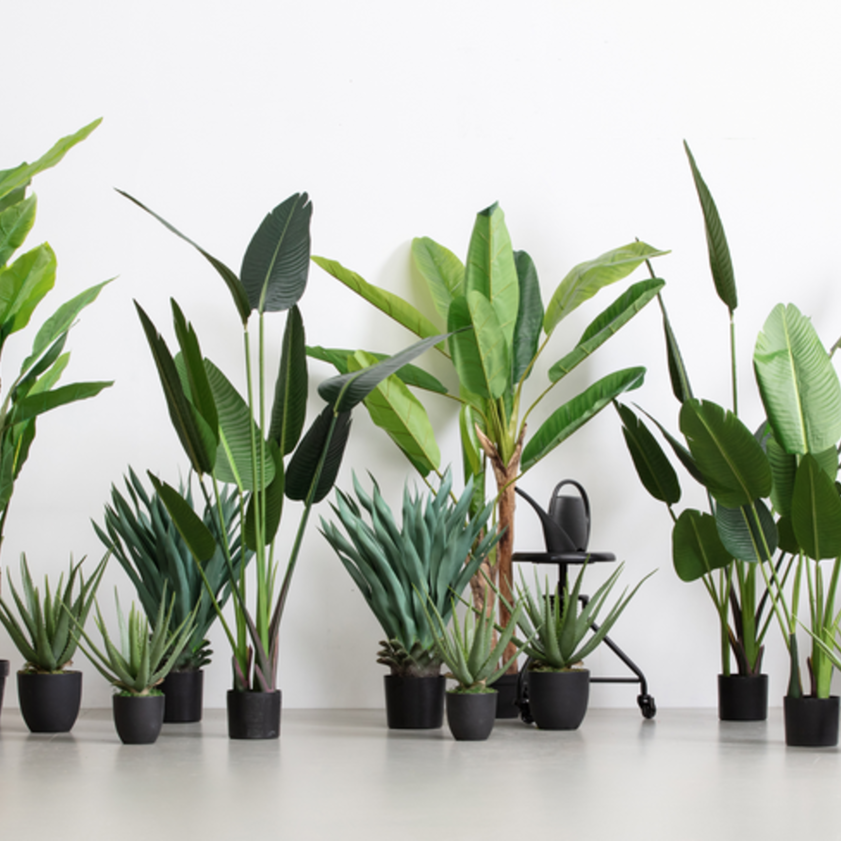 WOOOD EXCLUSIVE WOOOD - Strelitzia kunstplant 108cm