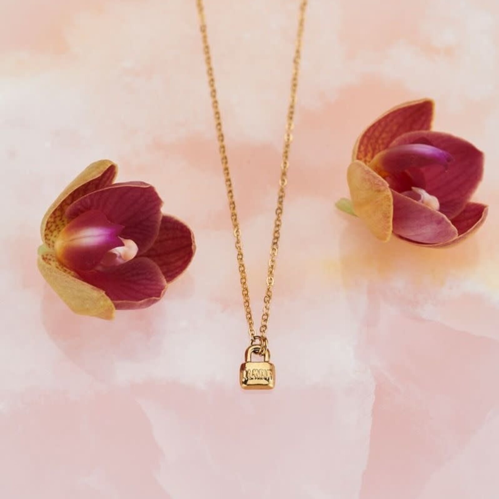 MY JEWELLERY MY JEWELLERY - Ketting met slotje zilver of goud