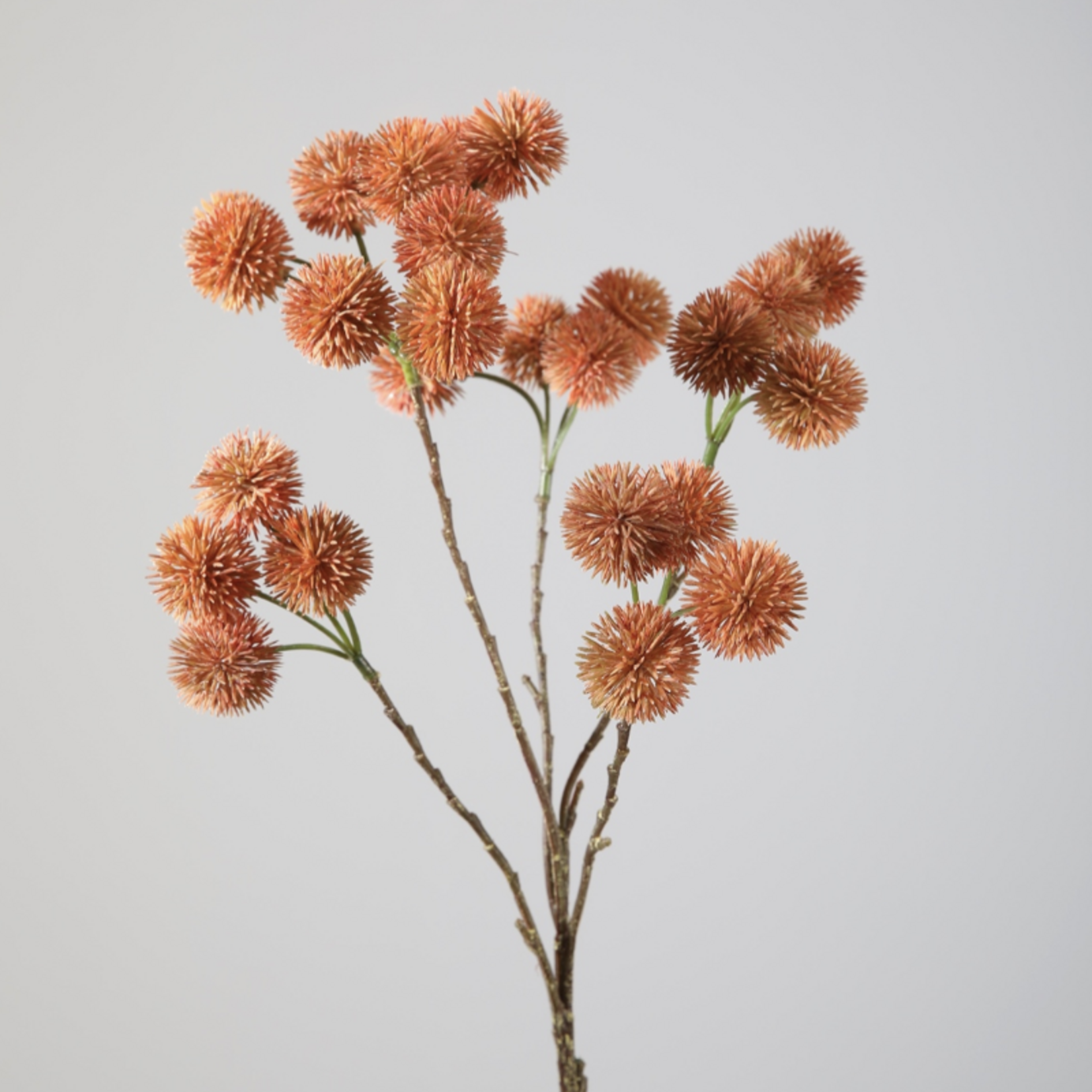 -- C&G - Rambutan branch 66cm zalm/koraal