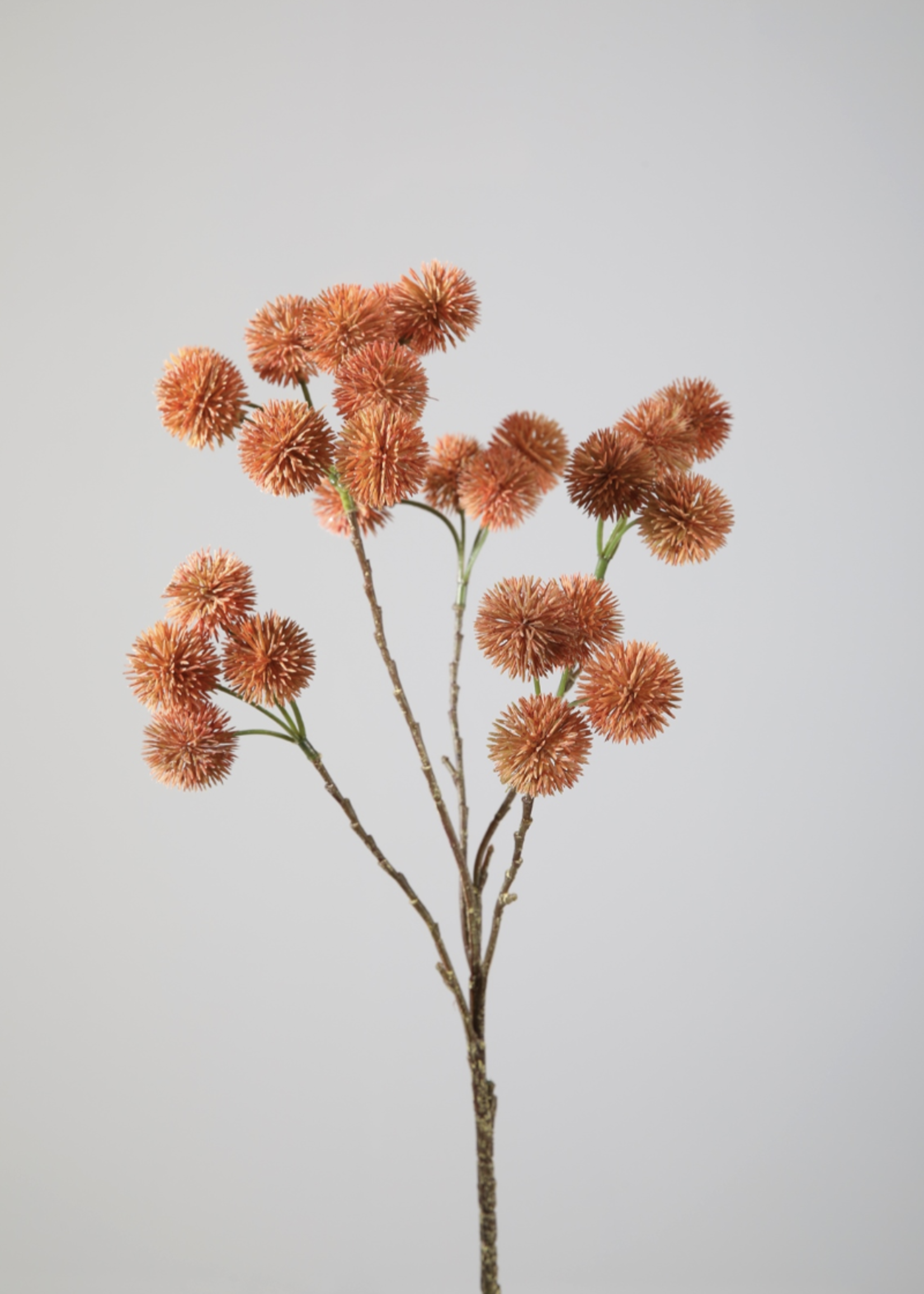 -- C&G - Rambutan branch 66cm zalm/koraal