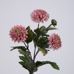 -- C&G - Mini mum spray roze