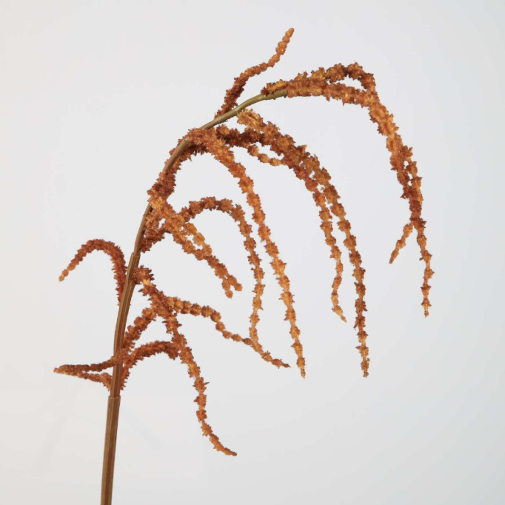 -- C&G - Amaranthus Hanging Spray 104cm