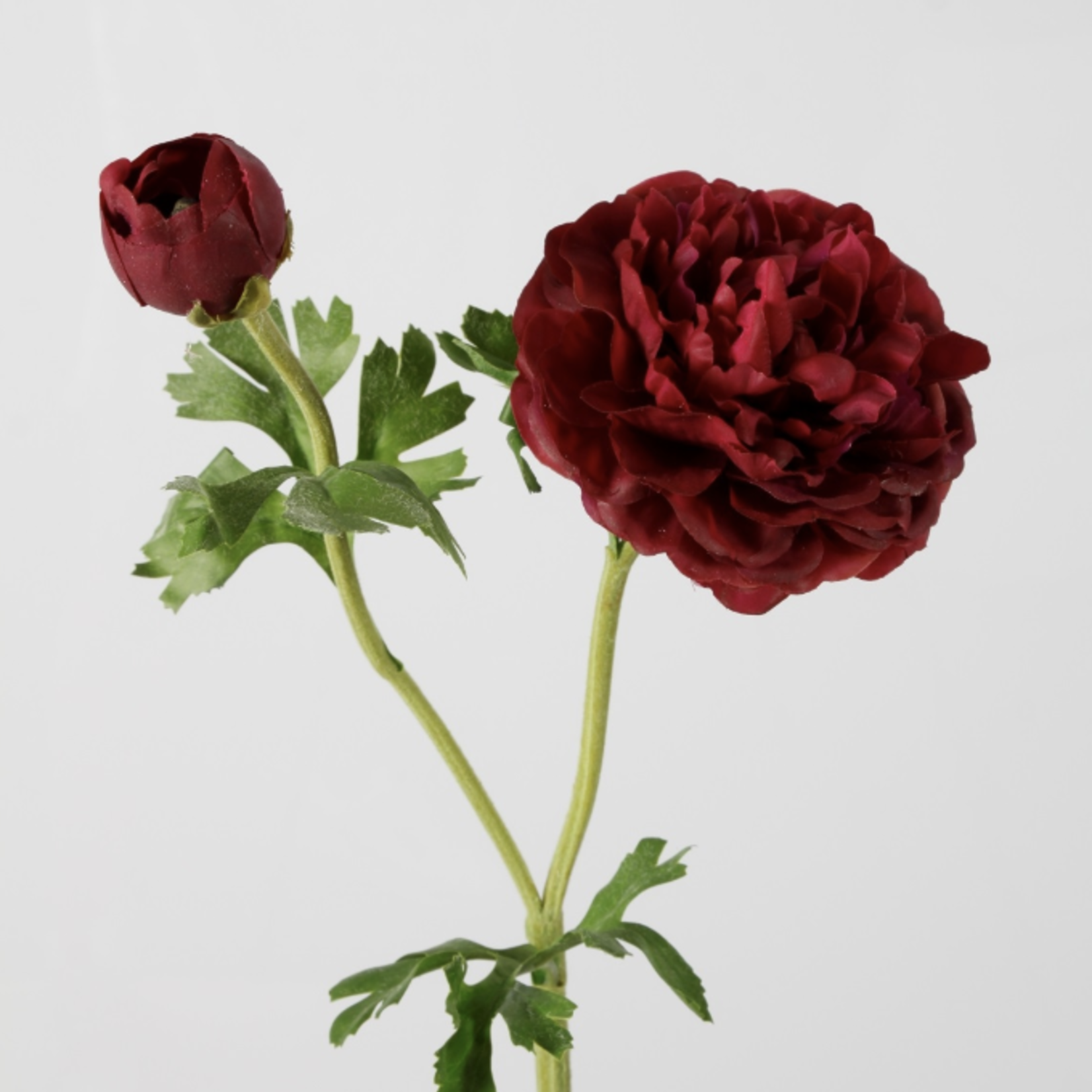 -- C&G - Ranunculus Spray 57cm rose/rood