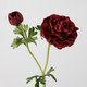 -- C&G - Ranunculus Spray 57cm rose/rood