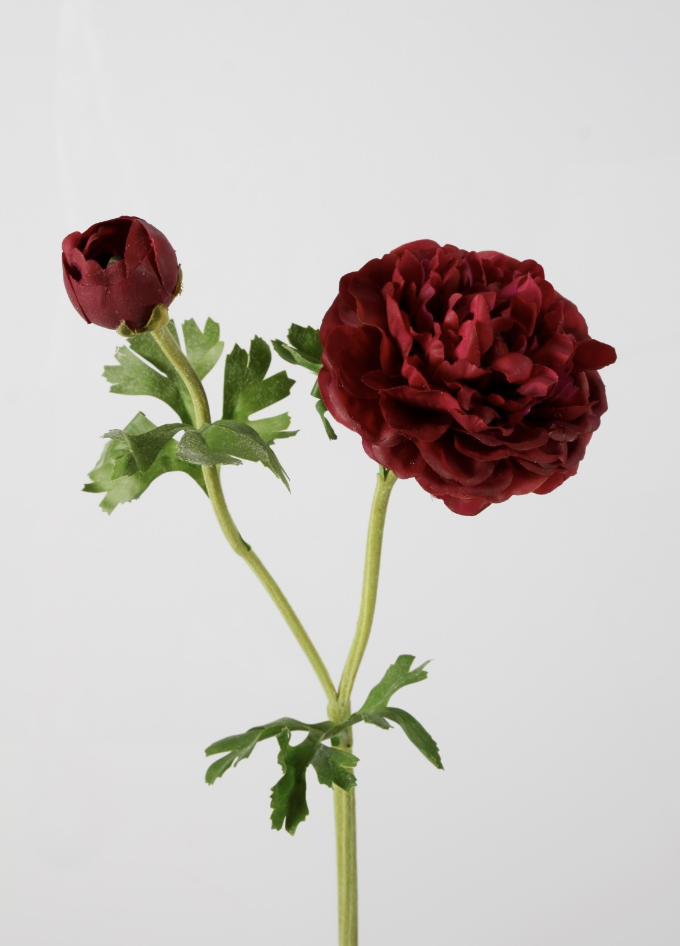 -- C&G - Ranunculus Spray 57cm rose/rood