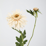 -- C&G - Mum Spray 72cm