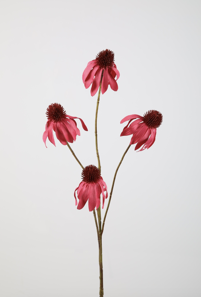 -- C&G - Echinacea spray 83cm fuchsia