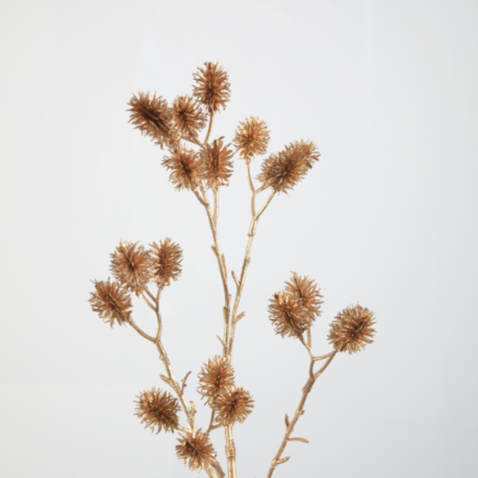 -- C&G - Teasel spray x5 goud/koper 64cm