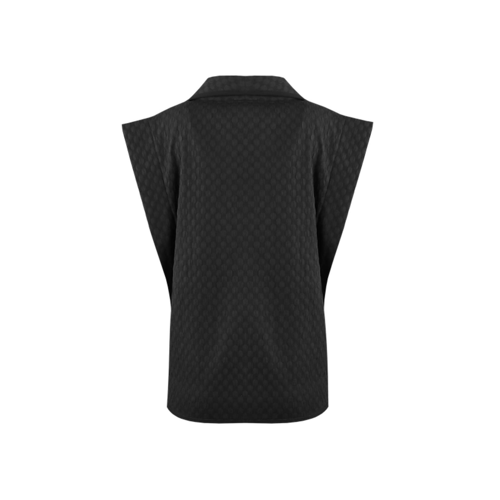 FLURESK FLURESK - Gilet gabrielle gilet zwart